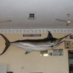 Malindi Sea Fishing Club 2006